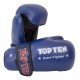 Перчатки TOP TEN Pointfighter