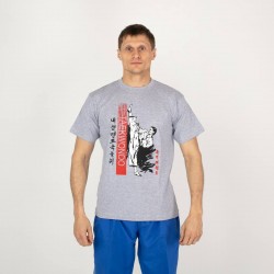Футболка MAXPRO Таеквондист-серая