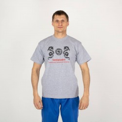Футболка MAXPRO Драконы -серая
