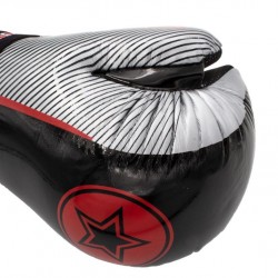 Перчатки TOP TEN Pointfighter Glossy "Star & Stripes"