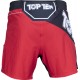Шорты ММА TOPTEN "Fight Team"
