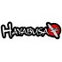 HAYABUSA